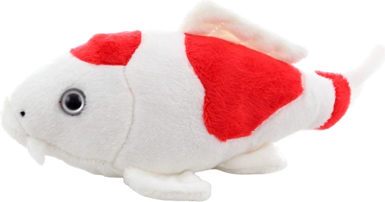 Realistické detaily koi kapra