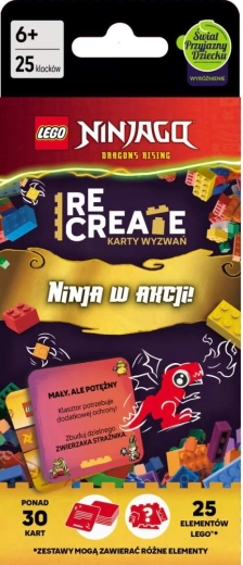 LEGO NINJAGO Karty výziev: Ninja v akcii