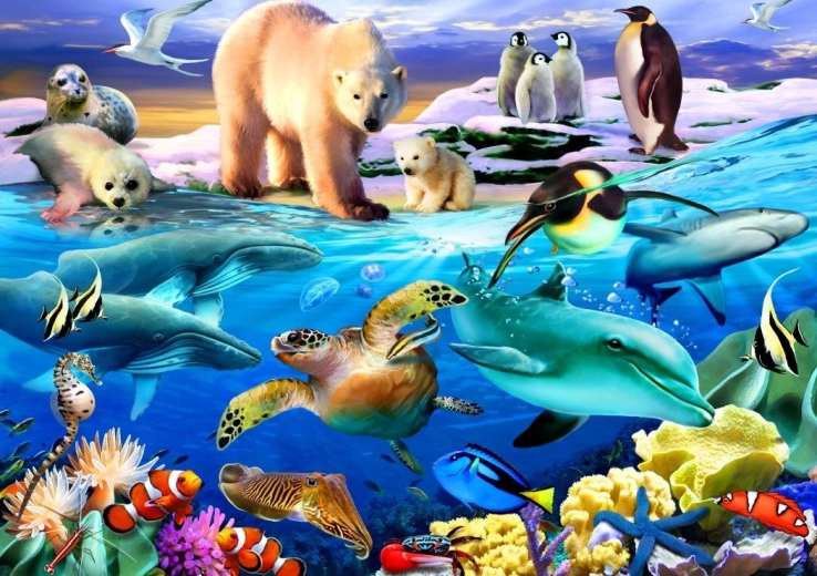 Bluebird puzzle Oceán života 1000 dielikov