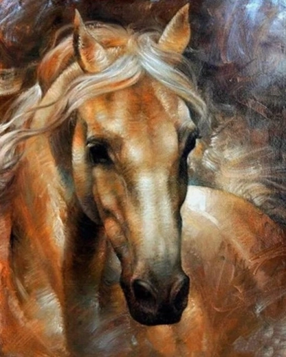 Norimpex maľovanie podľa čísel portrét koňa 40 × 50 cm