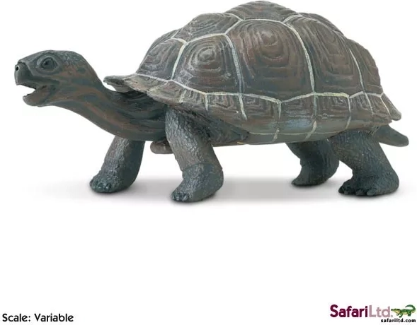 Safari Ltd. mláďa galapágskej korytnačky figúrka - 1 kus