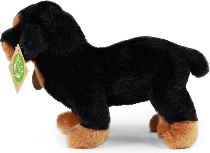 Súčasť RAPPA Exclusive Collection