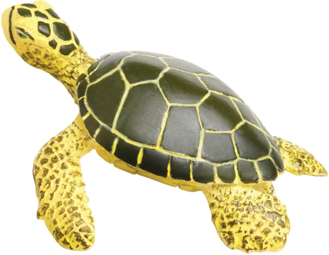Ideálne na učenie o prírode a oceáne