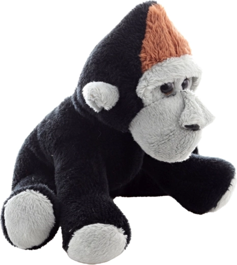 Roztomilé detaily a prívetivý výraz