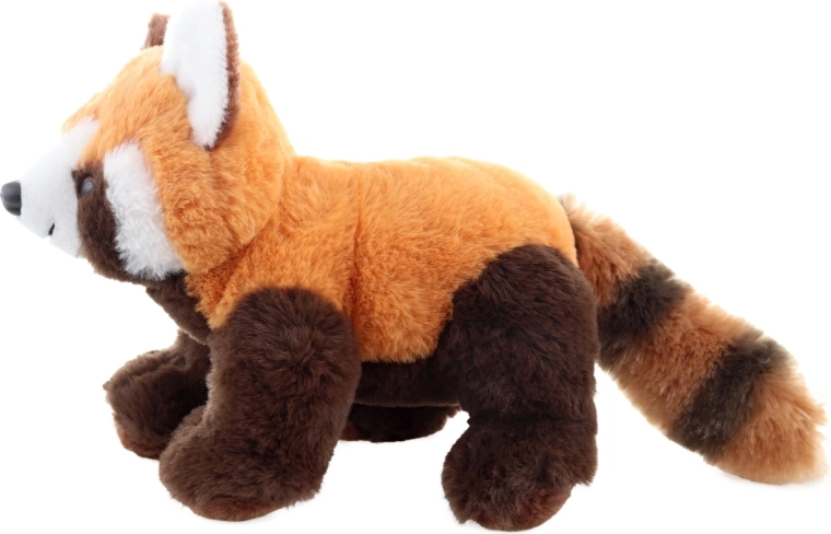 Realistické detaily červenej pandy