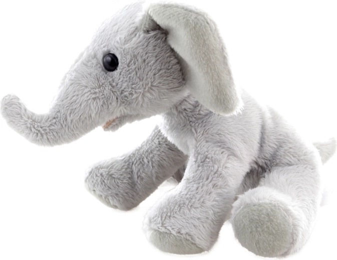 Kompaktná veľkosť 15 cm