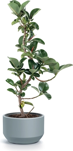 Odolný materiál na von aj dnu