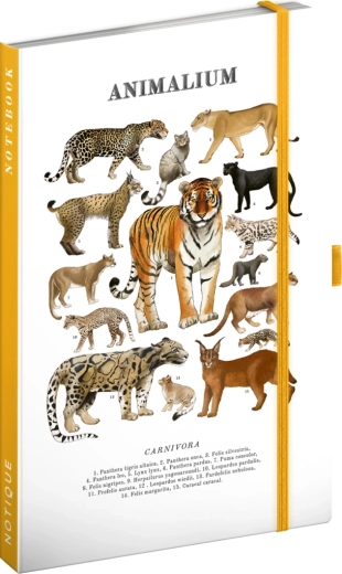Notique Notes Animalium – mačkovité šelmy (linajkový zápisník) 13 × 21 cm