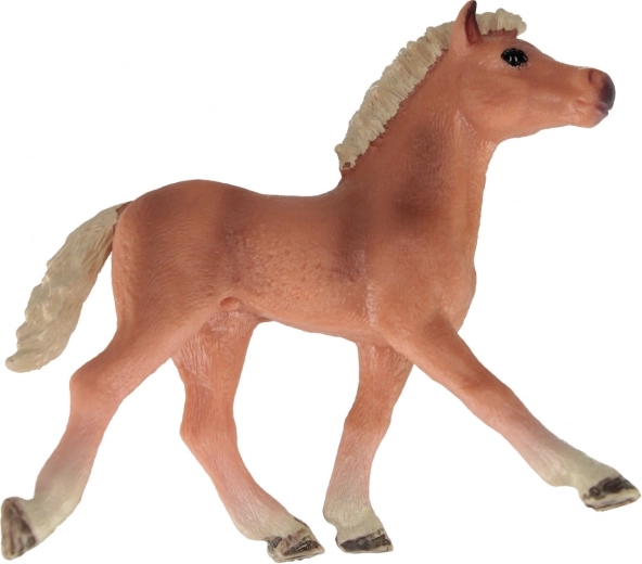 Tri atraktívne varianty