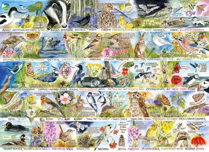 Puzzle GIBSONS RSPB kúzlo jarnej prírody 1000 dielikov