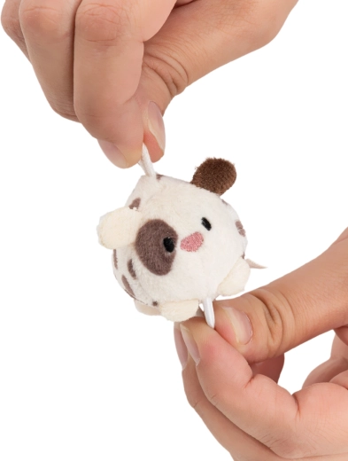 Mini rozmer, maxi roztomilosť