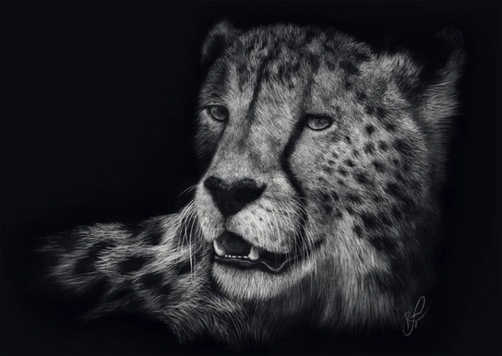 Puzzle rýchlosť geparda 1000 dielikov SCHMIDT