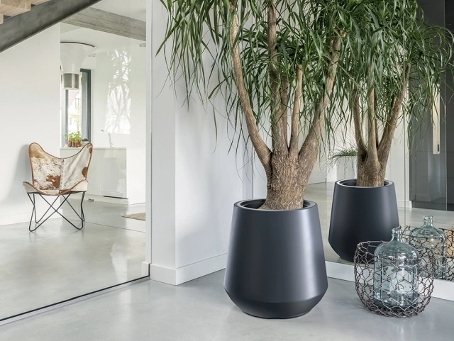 Moderný vzhľad pre súčasné interiéry