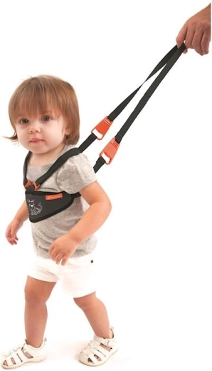 Istota pri prvých krôčikoch