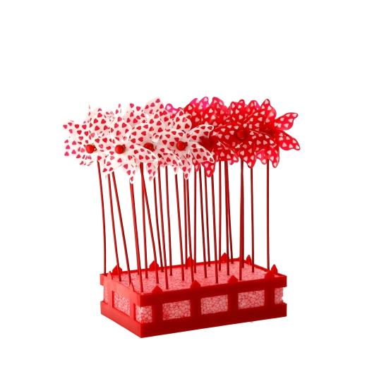 Skvelé na aranžmány a akcie