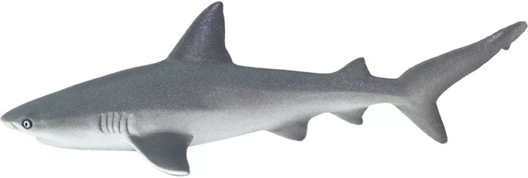 Safari Ltd. Žralok španielsky (útesový) - 1 kus