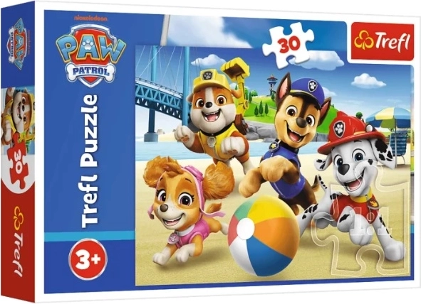 Puzzle Labková patrola „Cztery łapy“ (30 dielikov)