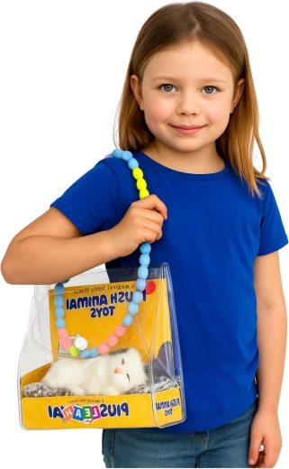 Prenosná priehľadná taštička