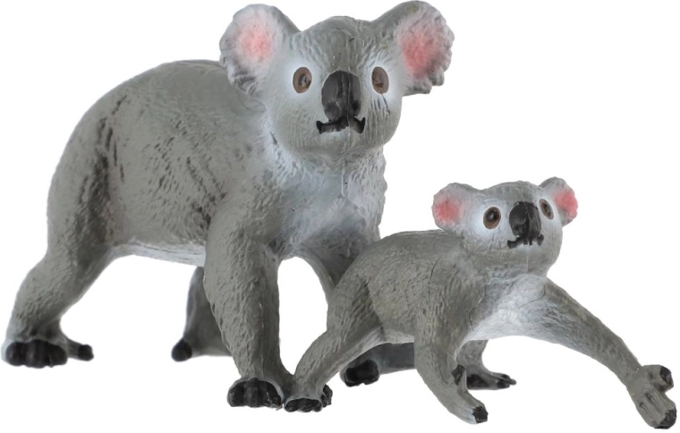 Koala s mláďaťom
