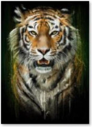 Diamantové vyšívanie (diamond painting) tiger – 30 × 40 cm