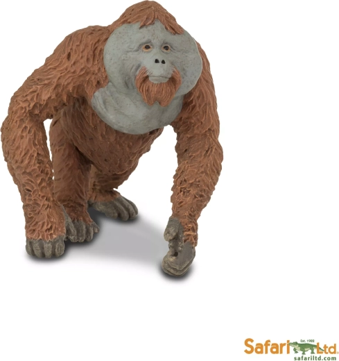 Safari Ltd. orangutan – samec