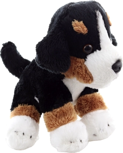 Ľahký a skladný spoločník