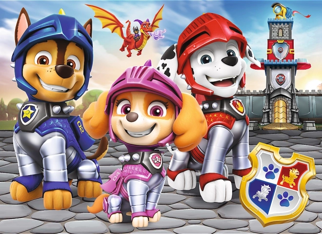 Puzzle miniMAXI PAW PATROL rytieri 20 dielov