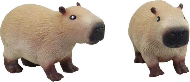 Roztomilý vzhľad kapybary