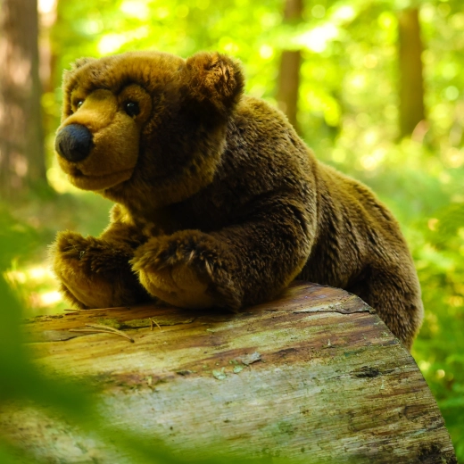 ECO-FRIENDLY výplň