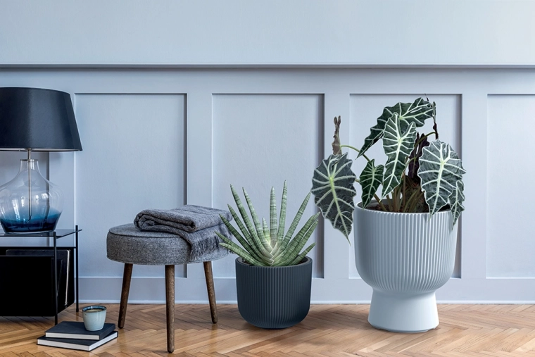 Vyberateľná vložka pre jednoduché presádzanie