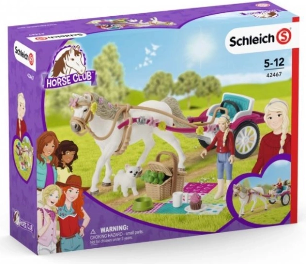 Kočiar na veľkú prehliadku koní