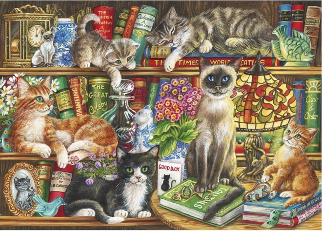 Puzzle Mačky v knihách 1000 dielikov
