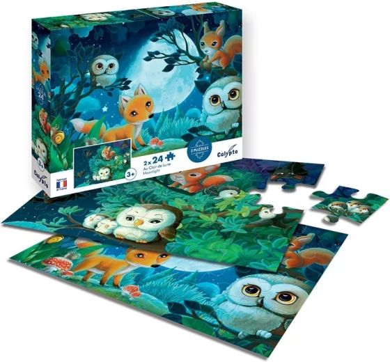 Sentosphere puzzle za mesačného svitu