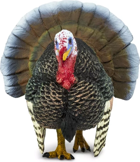 Realistický vzhľad na hranie aj výučbu