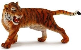 Amurský tiger