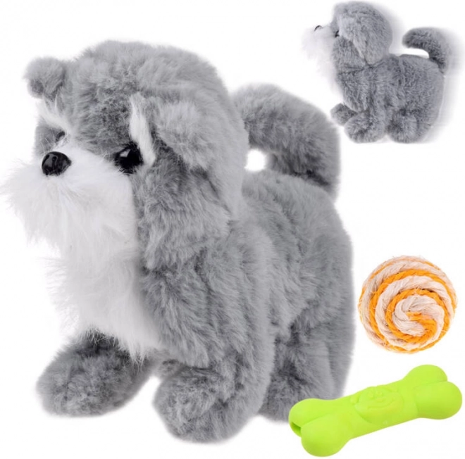 Interaktívny sivý psík