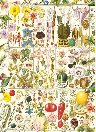 Puzzle Botanická blaženosť 1000 dielikov
