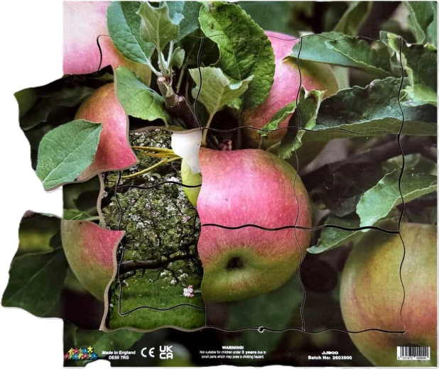 Just Jigsaws Jablko a jeho vegetatívne rastové fázy – drevené vrstvené puzzle, 19 dielikov