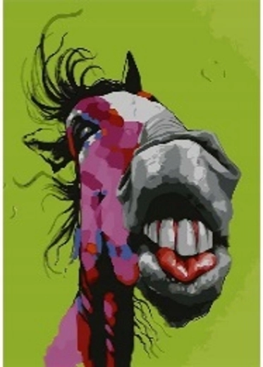Norimpex Maľovanie podľa čísel Crazy Horse 40 × 50 cm