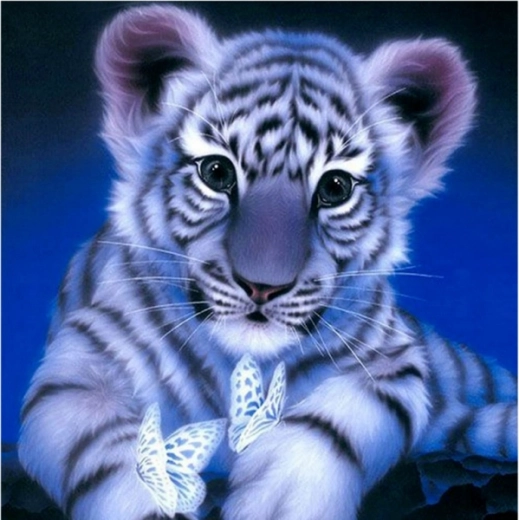 Diamantové maľovanie – snehový tigrík 30 × 30 cm