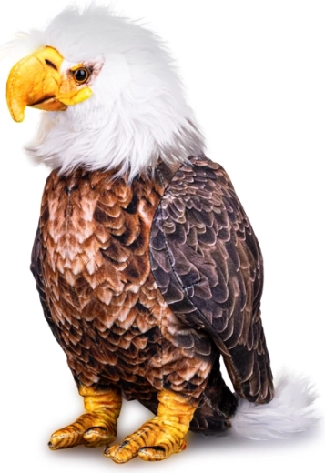 Plyšový orol bielohlavý 30 cm