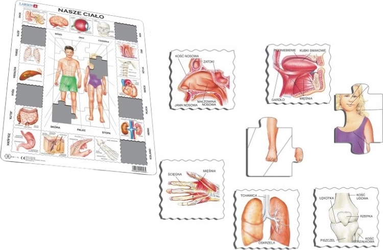 Larsen naše telo maxi vzdelávacie puzzle