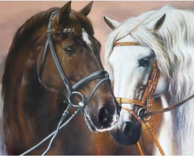 Norimpex Maľovanie podľa čísel s motívom objímajúcich sa koní 40 × 50 cm