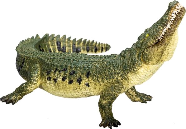 Realistický Krokodíl s Pohyblivou Čeľusťou