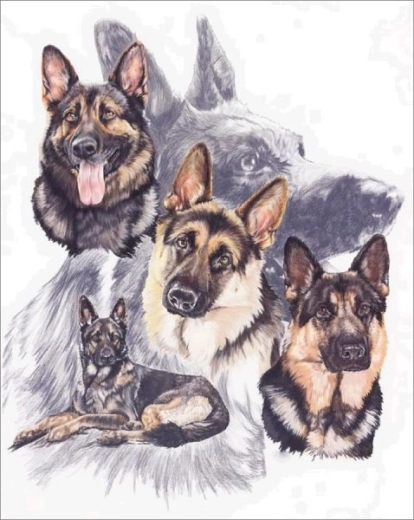 Diamantové vyšívanie (diamond painting) – nemecké ovčiaky 30 × 40 cm – 1 kus