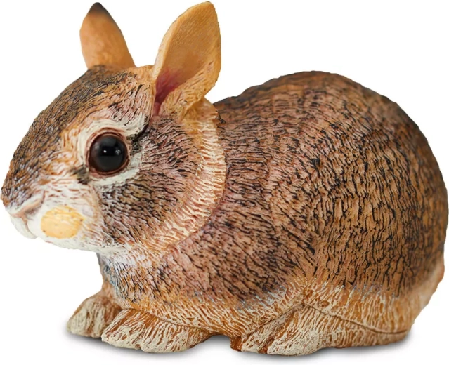 Mláďa králika východoamerického Safari Ltd