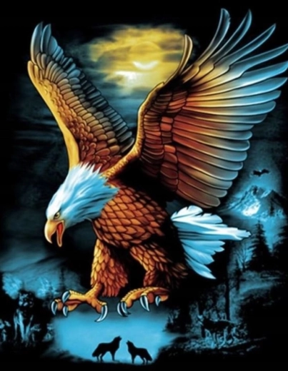 Diamantové maľovanie Orol pri splne 30 × 40 cm