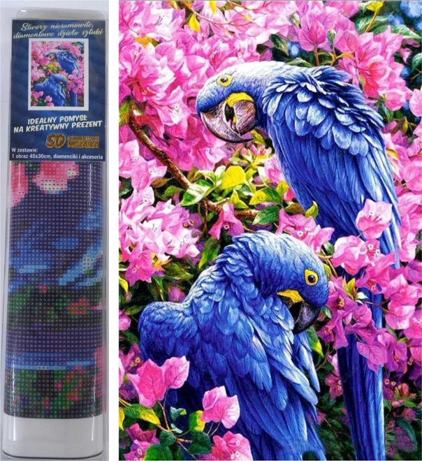 Norimpex diamantové maľovanie modré papagáje 30 × 40 cm