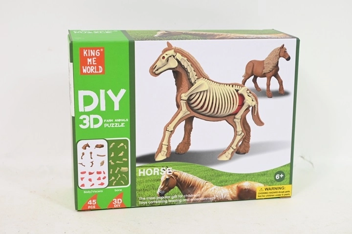 Anatomický model koňa