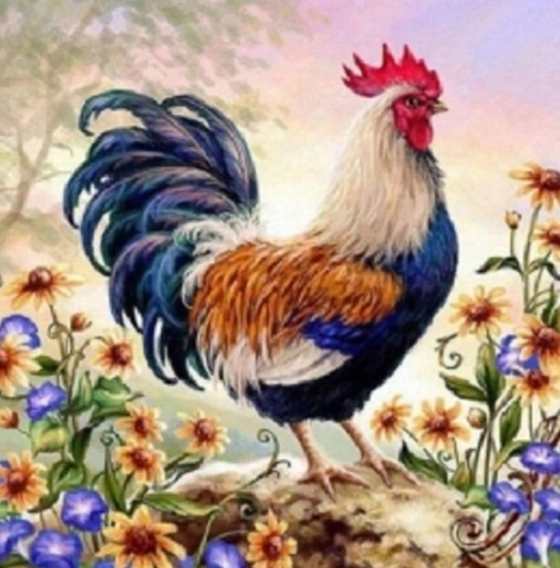 Norimpex maľovanie podľa čísel Kohút v kvetoch 40 × 50 cm